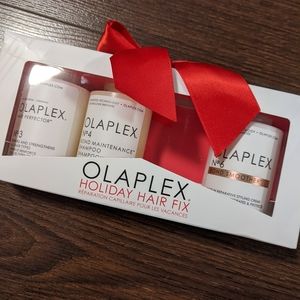 Olaplex Holiday Hair Fix